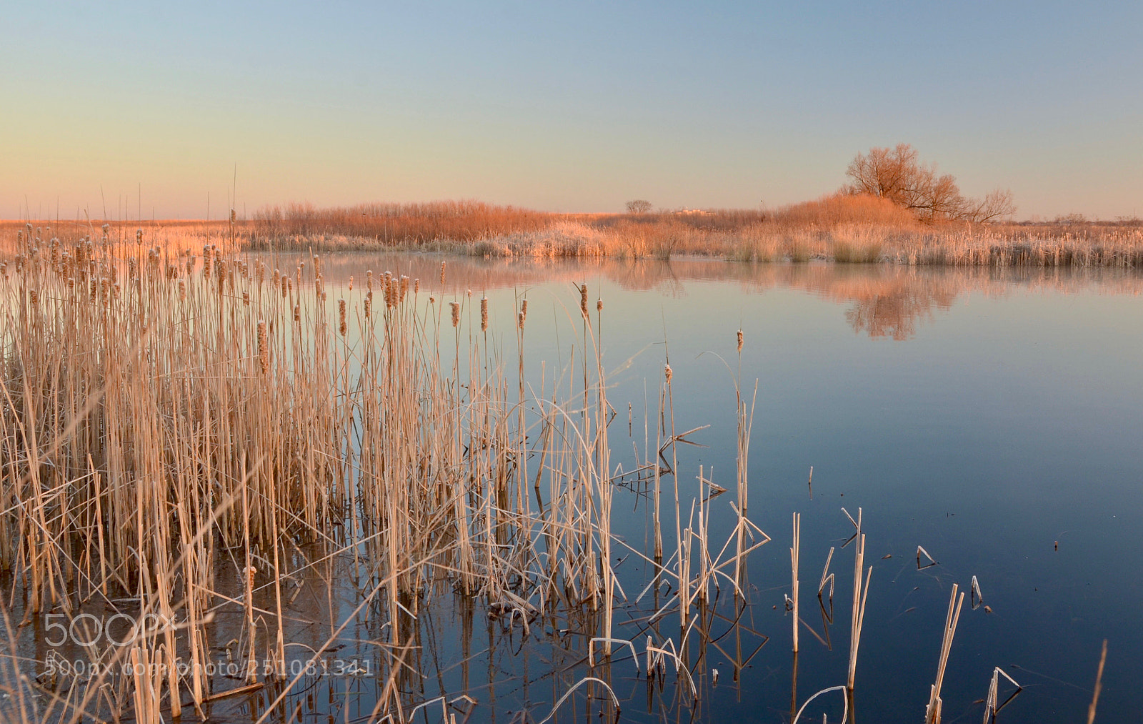Nikon D7000 sample photo. Untitled photography