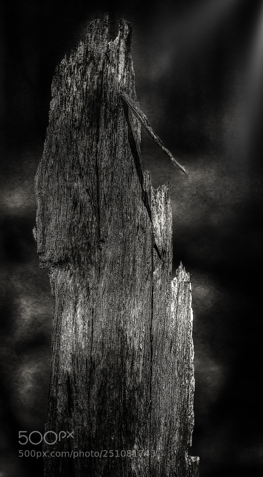 Nikon D7100 sample photo. Deep in the dark photography