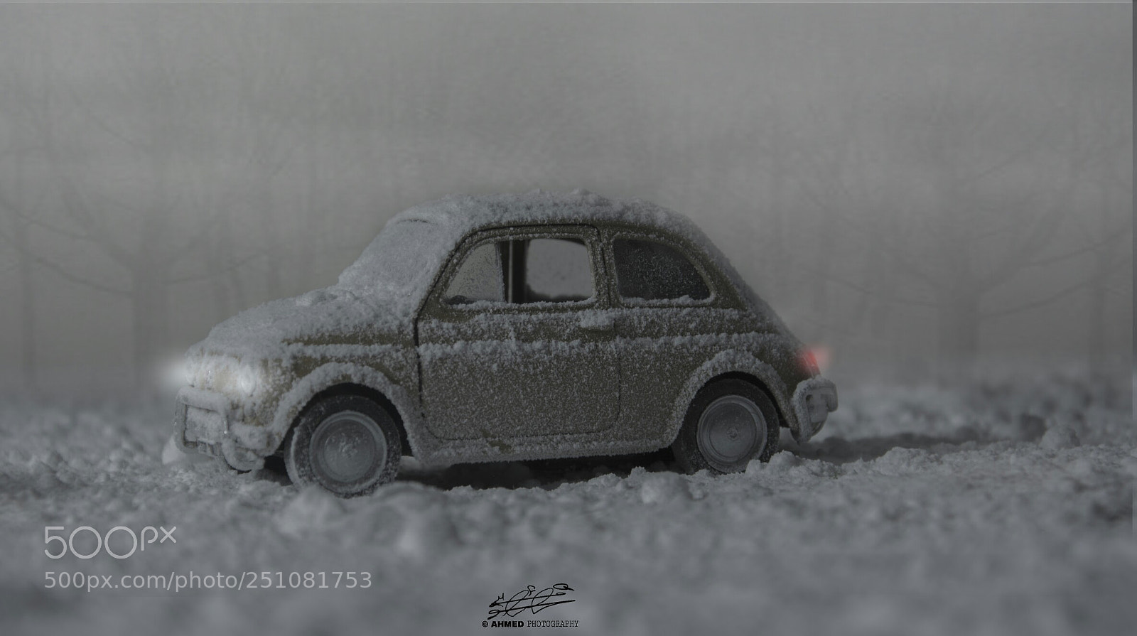 Nikon D7100 sample photo. Untitled photography