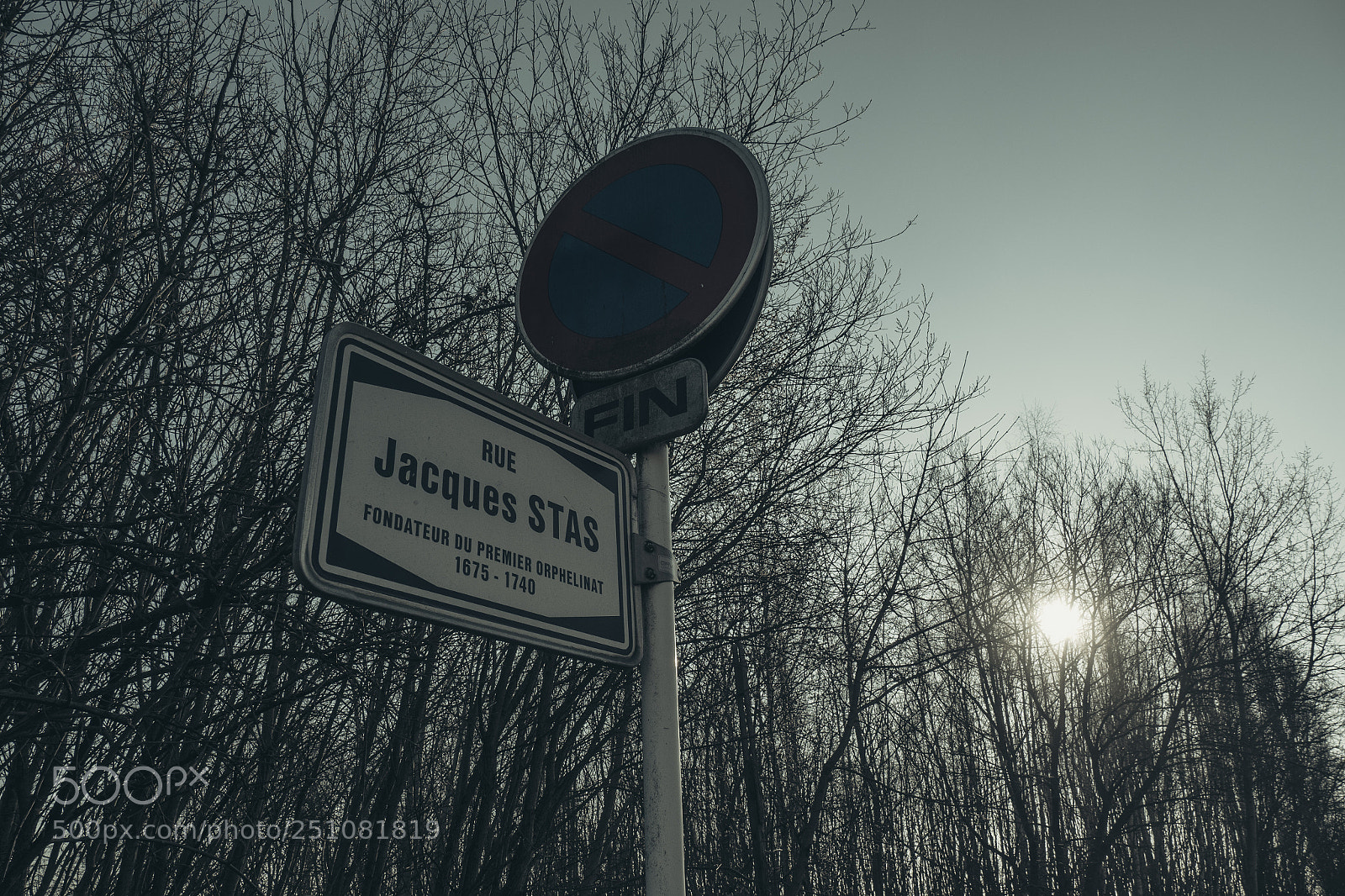 Olympus OM-D E-M1 Mark II sample photo. Untitled photography