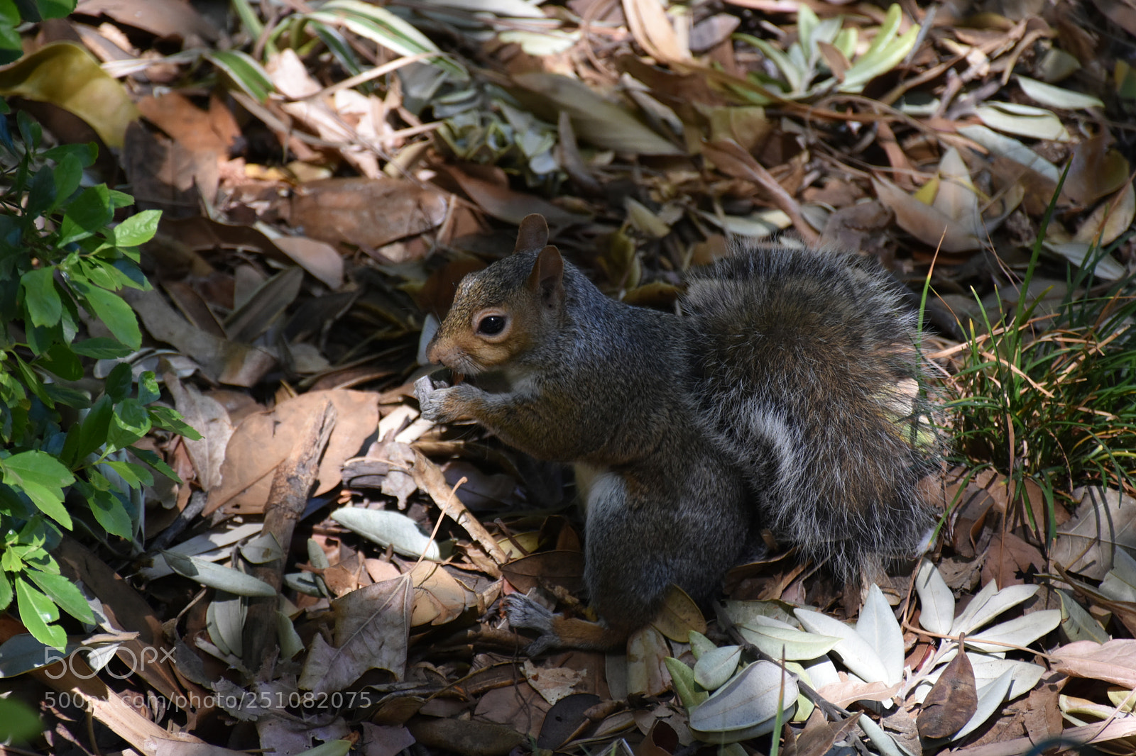 Nikon D7200 sample photo. Untitled photography