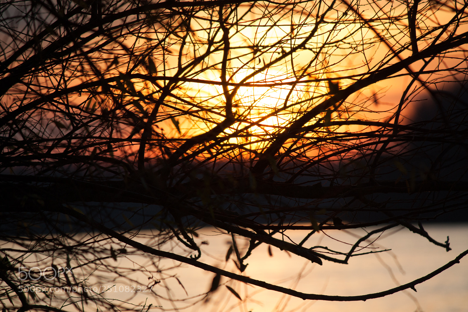 Canon EOS 450D (EOS Rebel XSi / EOS Kiss X2) sample photo. Sunset between trees photography