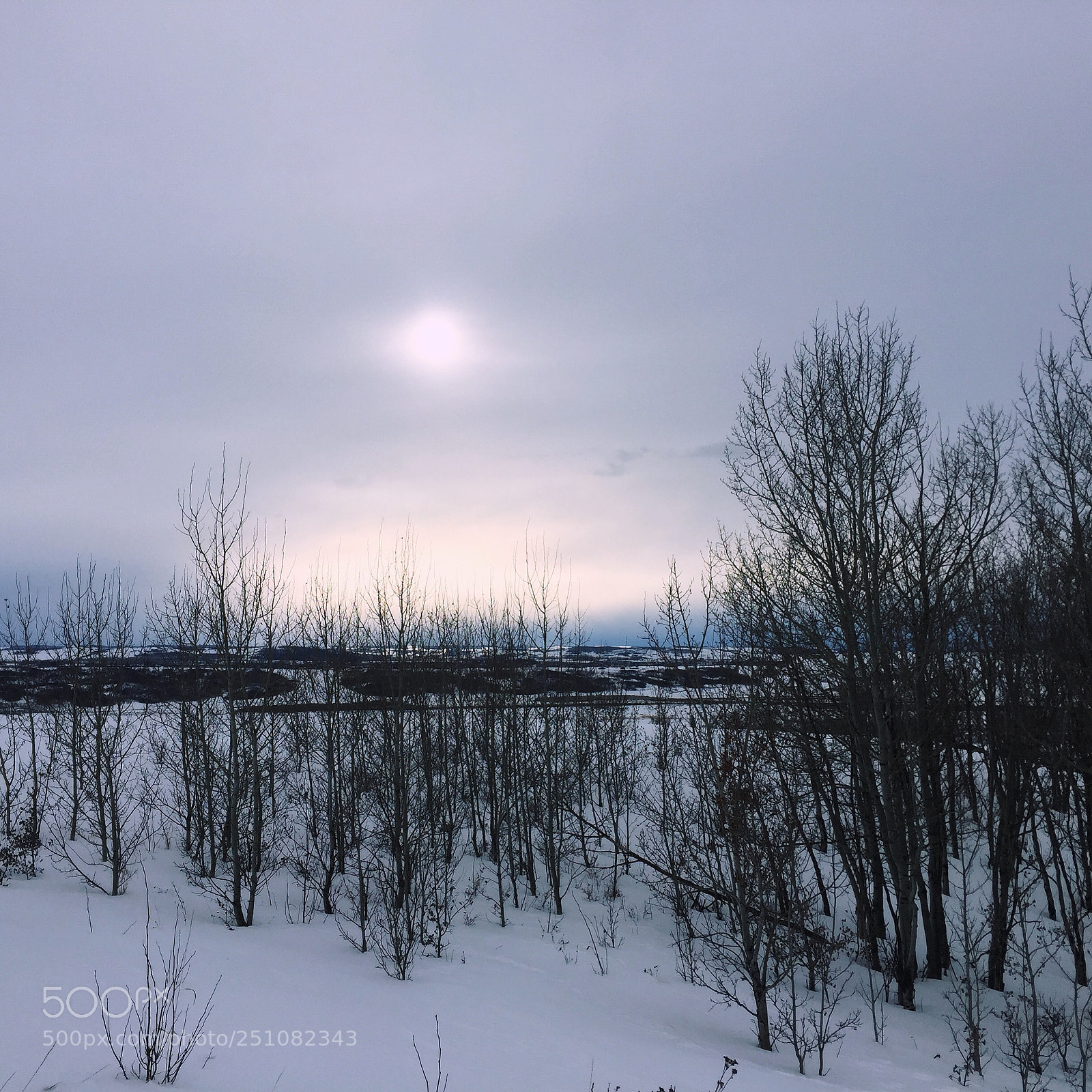 Apple iPhone 6 sample photo. Forest horizon photography