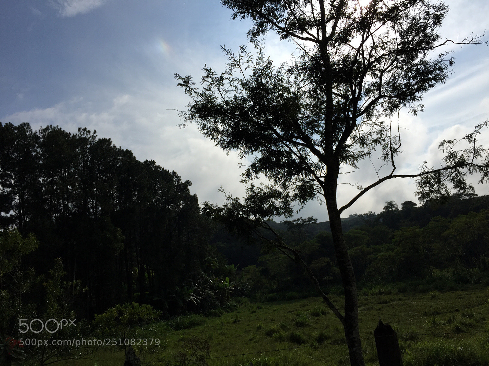 Apple iPhone 6 sample photo. Untitled photography