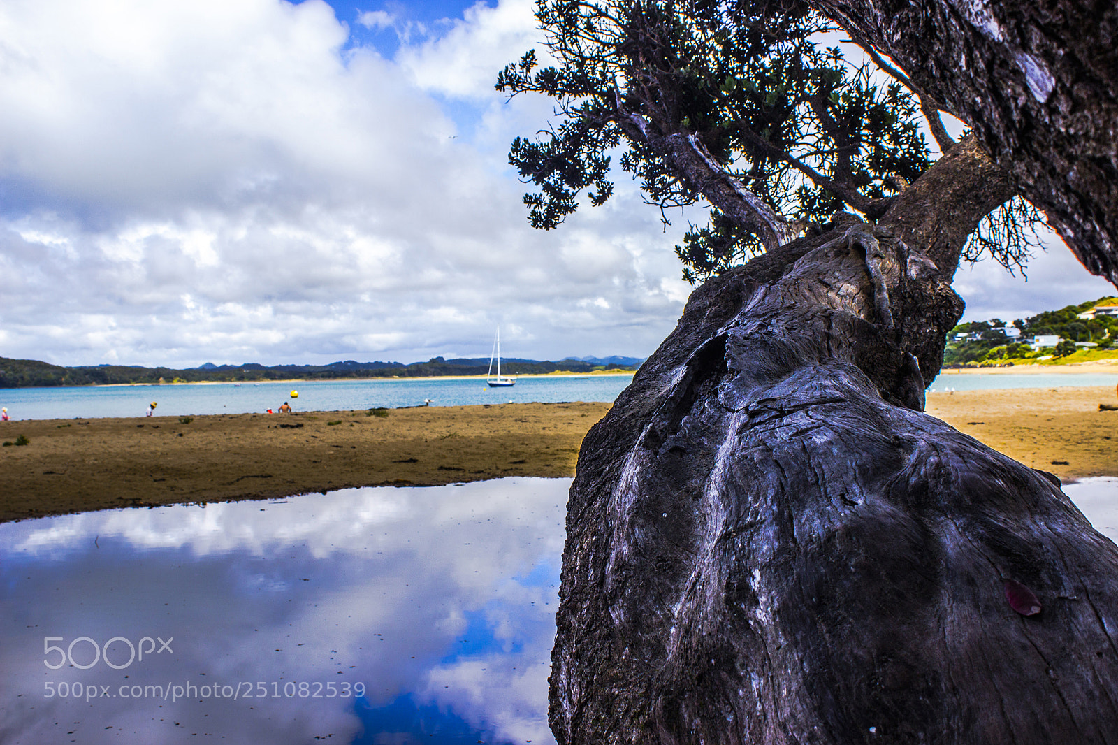 Canon EOS 600D (Rebel EOS T3i / EOS Kiss X5) sample photo. New zealand - tutukaka photography