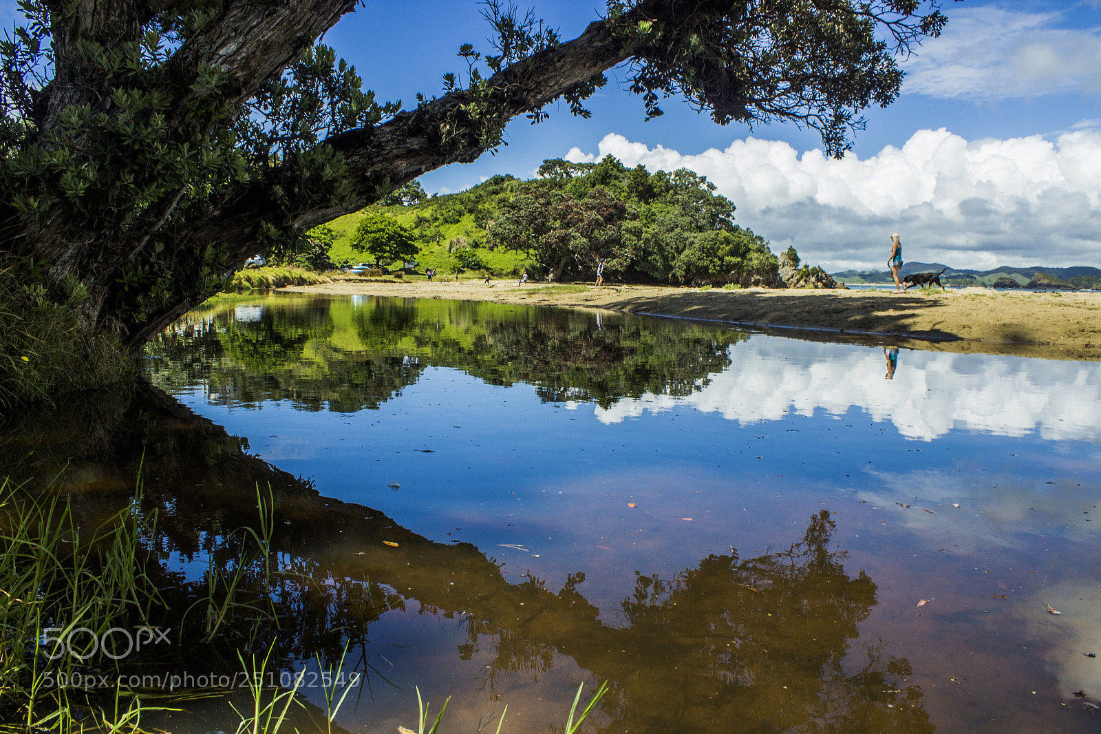 Canon EOS 600D (Rebel EOS T3i / EOS Kiss X5) sample photo. New zealand - tutukaka photography