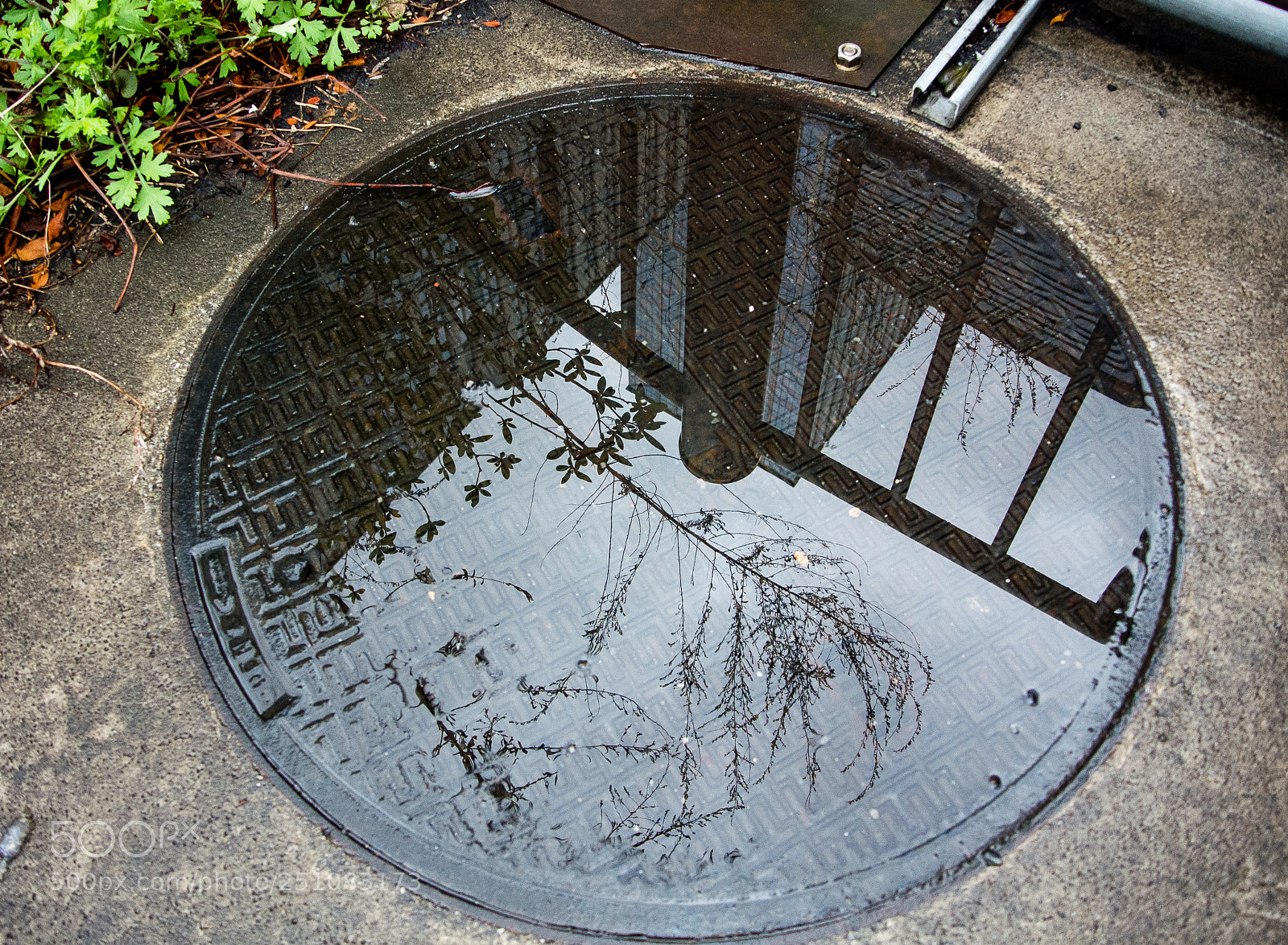 Nikon 1 V1 sample photo. Scenery reflected in manhole photography