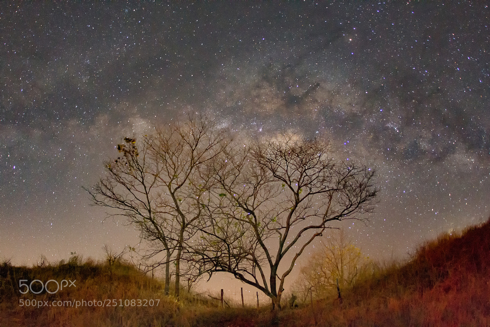Canon EOS 7D sample photo. Milky way photography