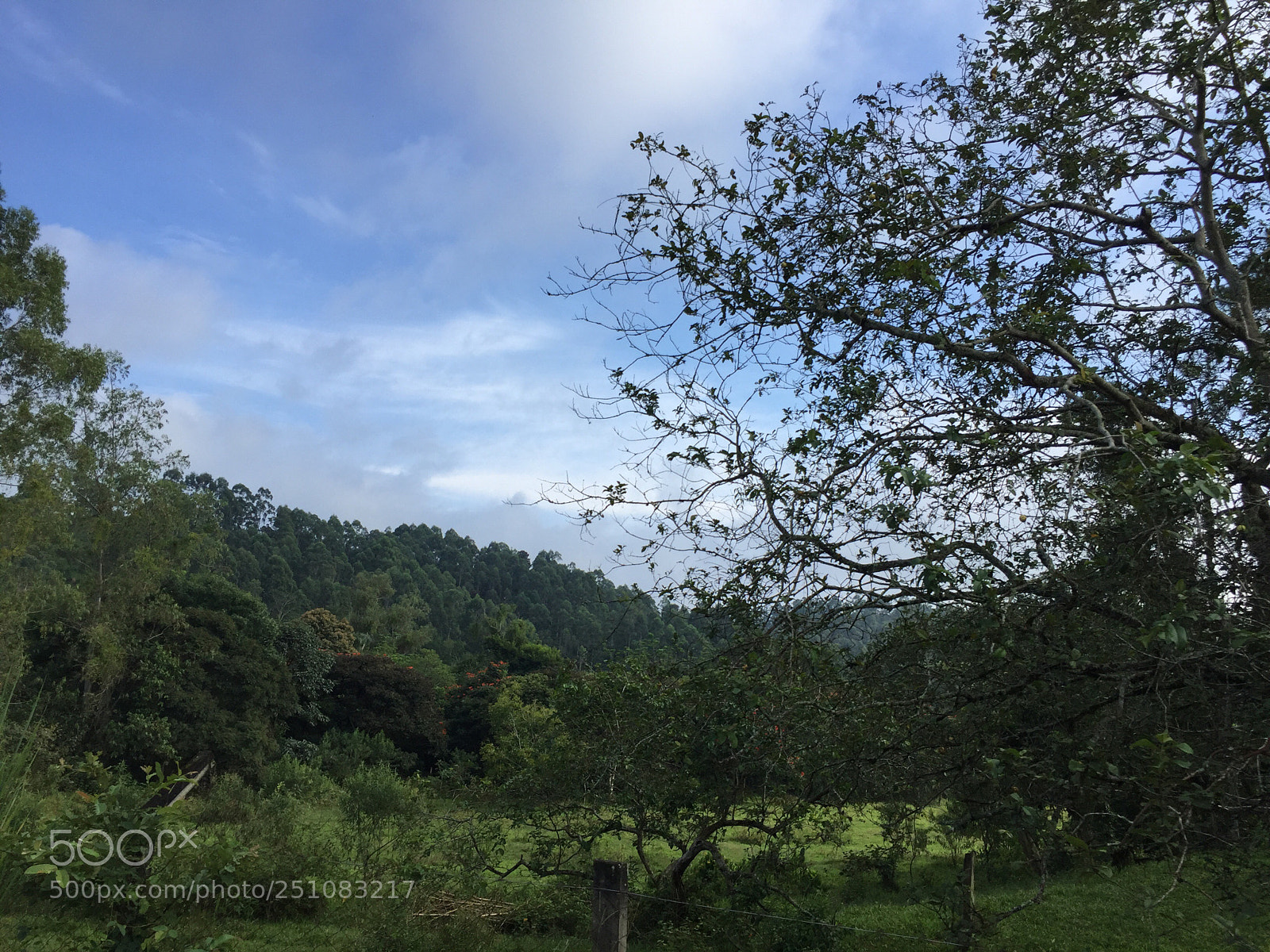 Apple iPhone 6 sample photo. Untitled photography