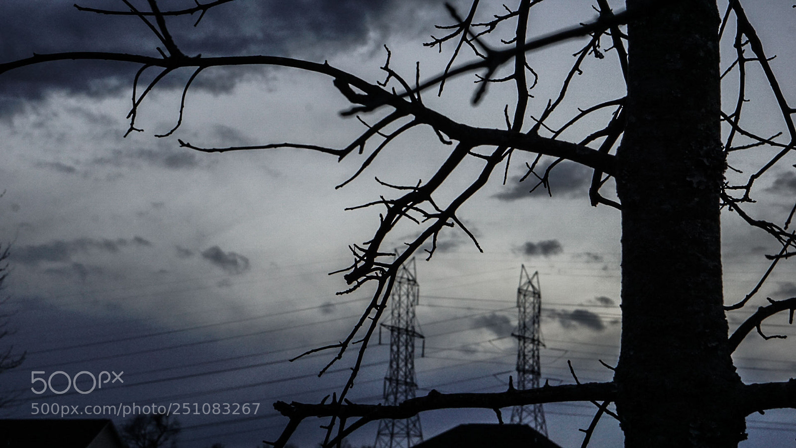 Sony a6000 sample photo. A view through branches 2 photography
