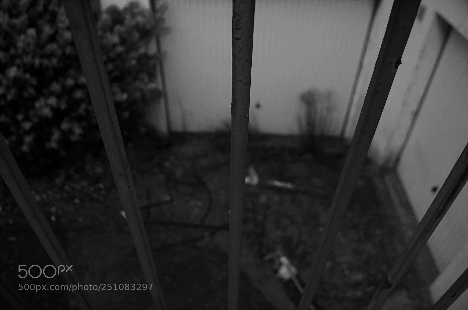Nikon D5100 sample photo. 2.jpg photography
