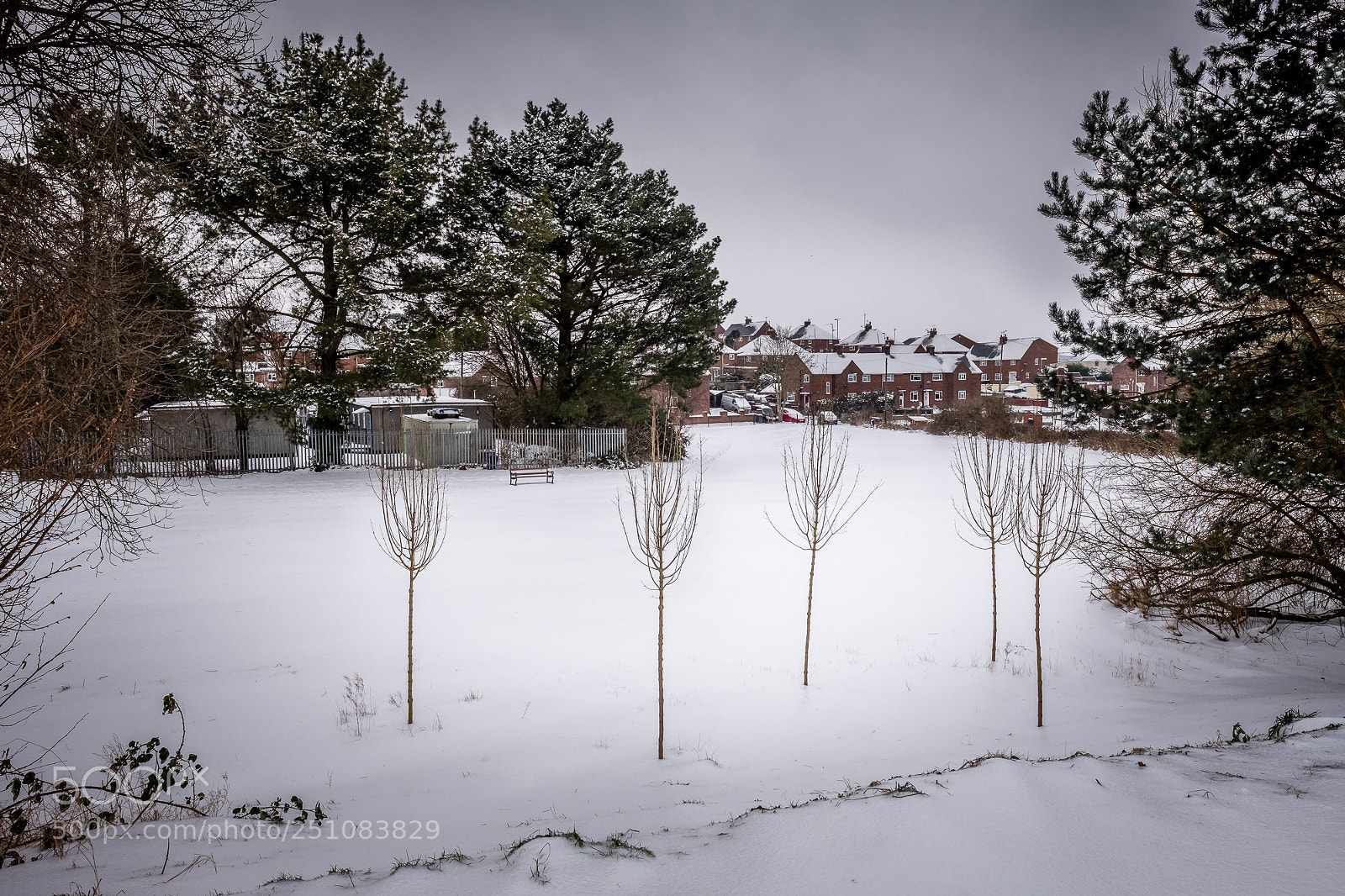 Fujifilm X-Pro2 sample photo. After snowfall photography