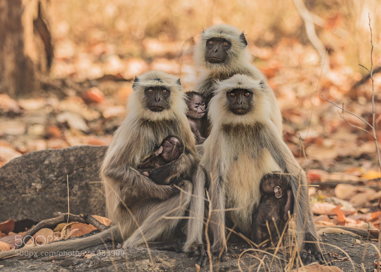 Canon EOS 7D Mark II sample photo. Motherhood... photography