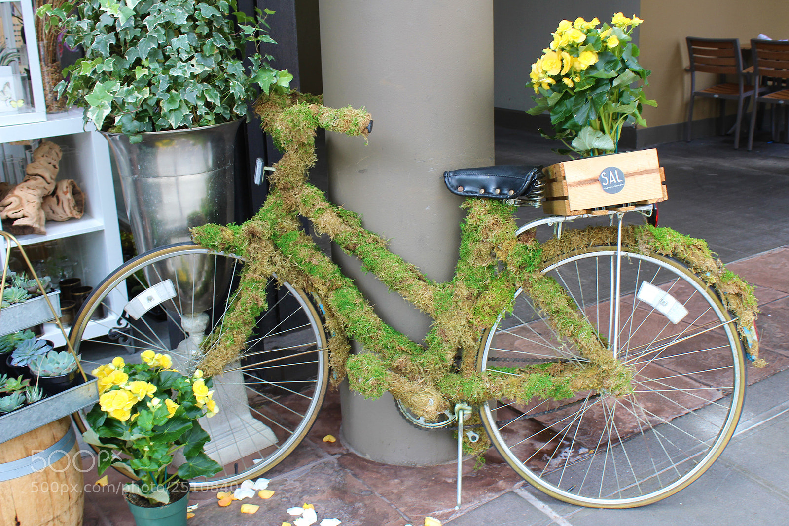 Canon EOS 1300D (EOS Rebel T6 / EOS Kiss X80) sample photo. Mossy bike photography