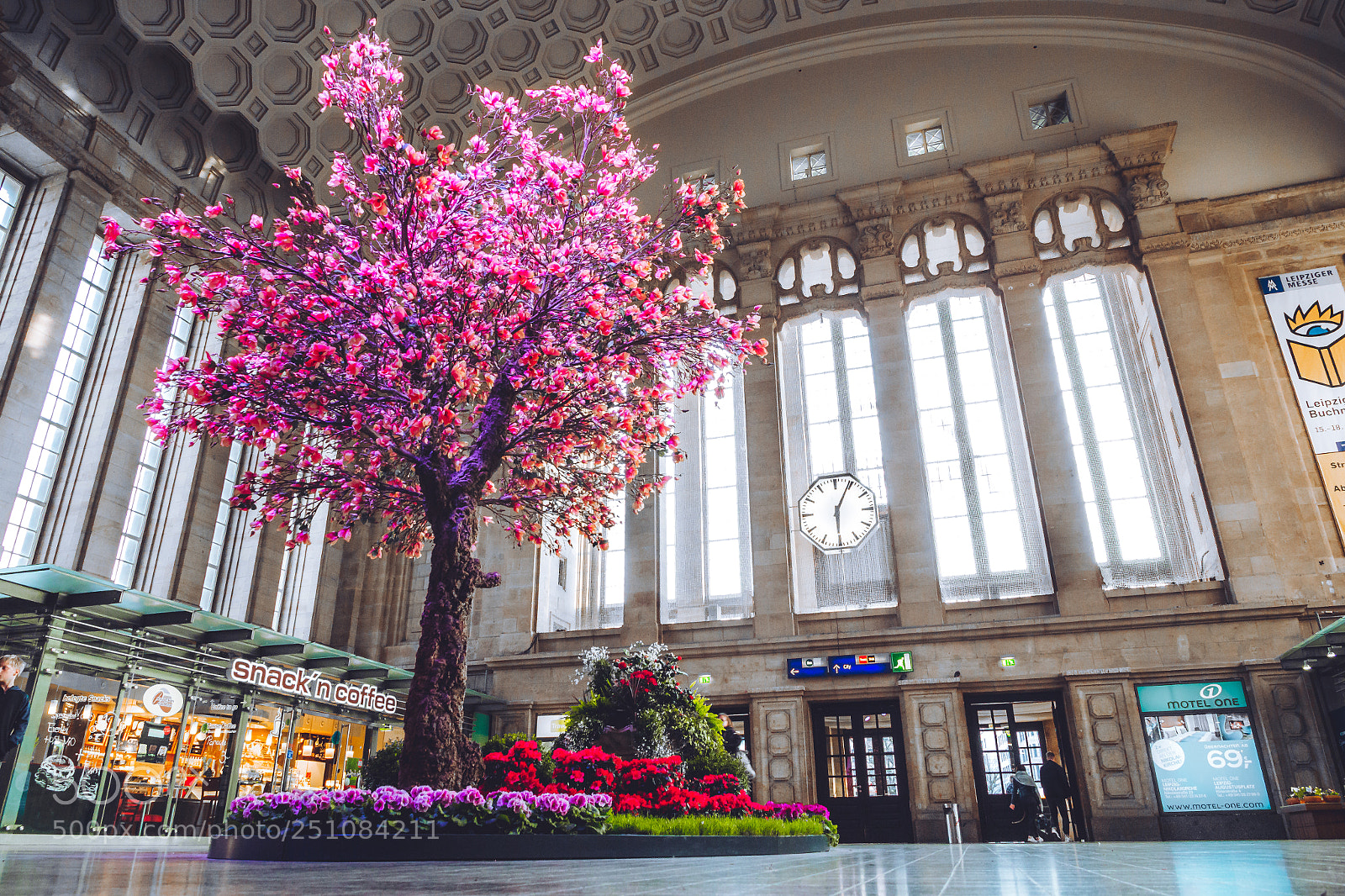 Canon EOS 650D (EOS Rebel T4i / EOS Kiss X6i) sample photo. Train station tree photography