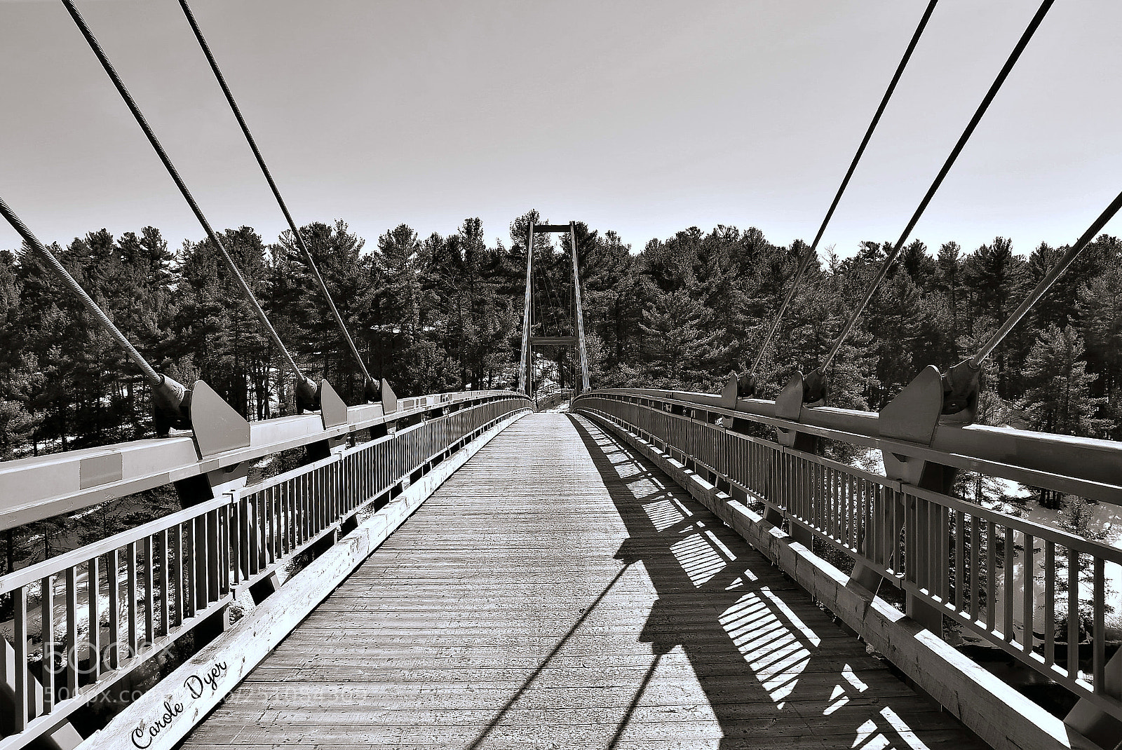 Nikon D5600 sample photo. French river snowmaching bridge photography