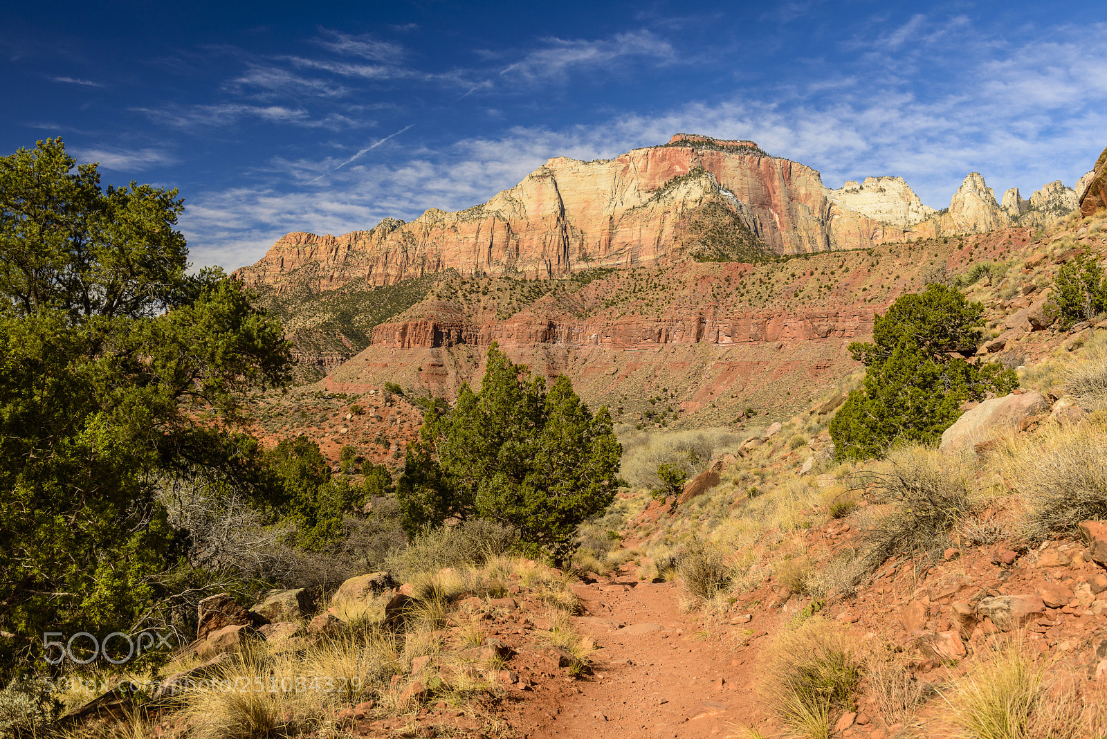 Nikon D800 sample photo. Watchman trail vista photography