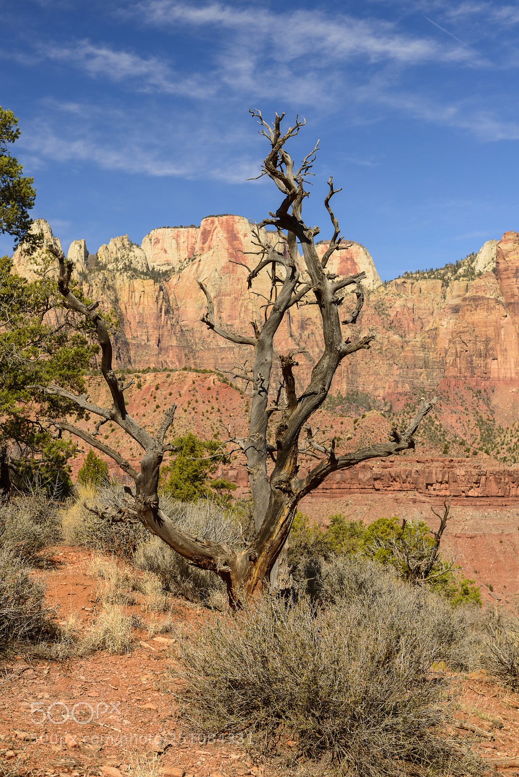 Nikon D800 sample photo. Watchman trail vista photography