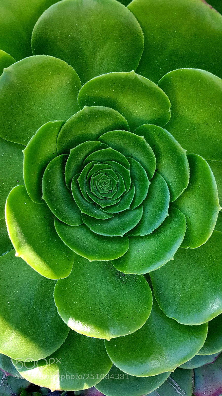 Samsung Galaxy Note5 sample photo. Spiral photography