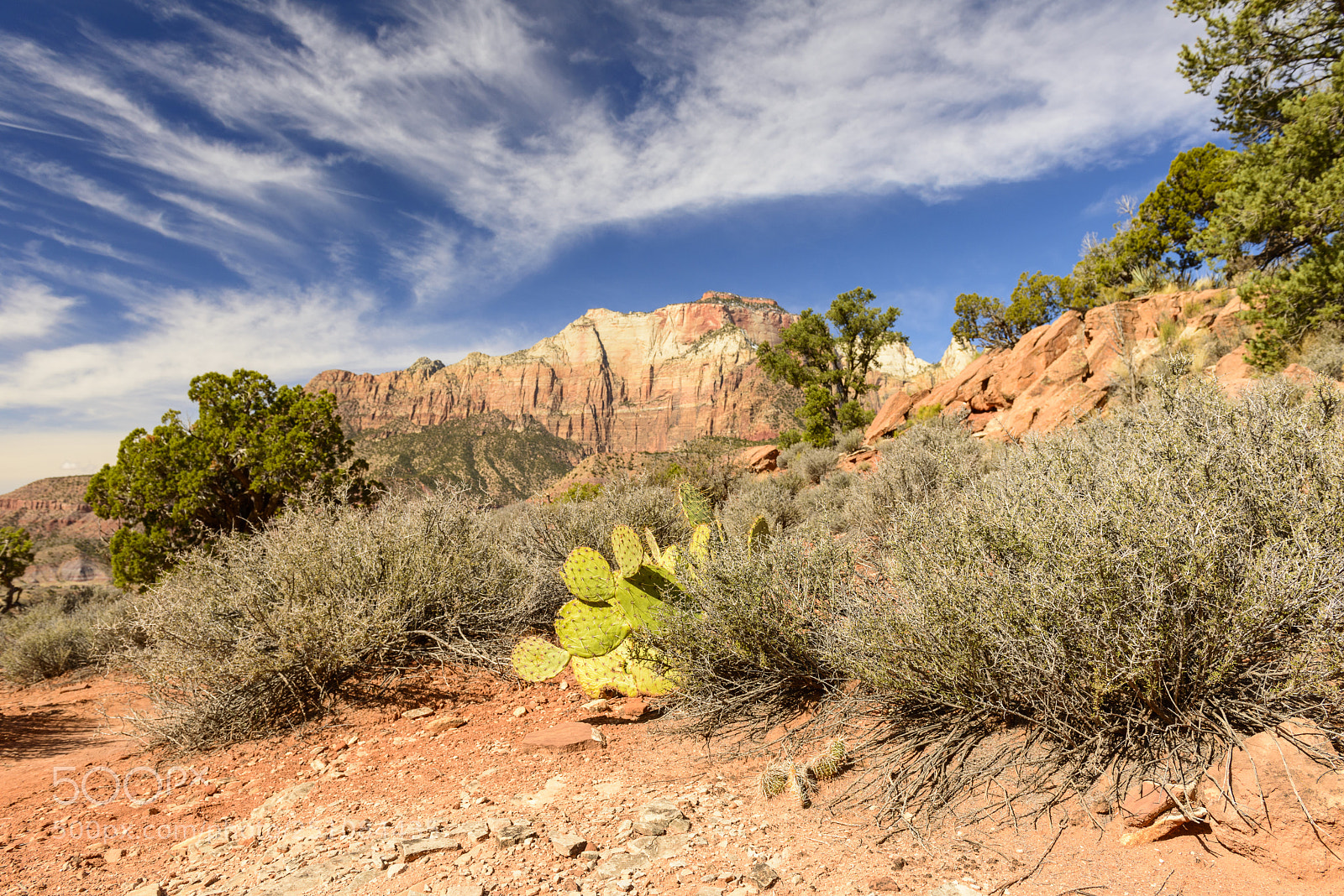 Nikon D800 sample photo. Watchman trail vista photography