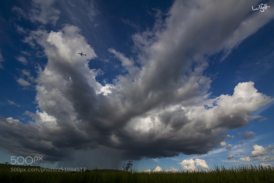 Canon EOS 50D sample photo. Localized rain + airplane photography