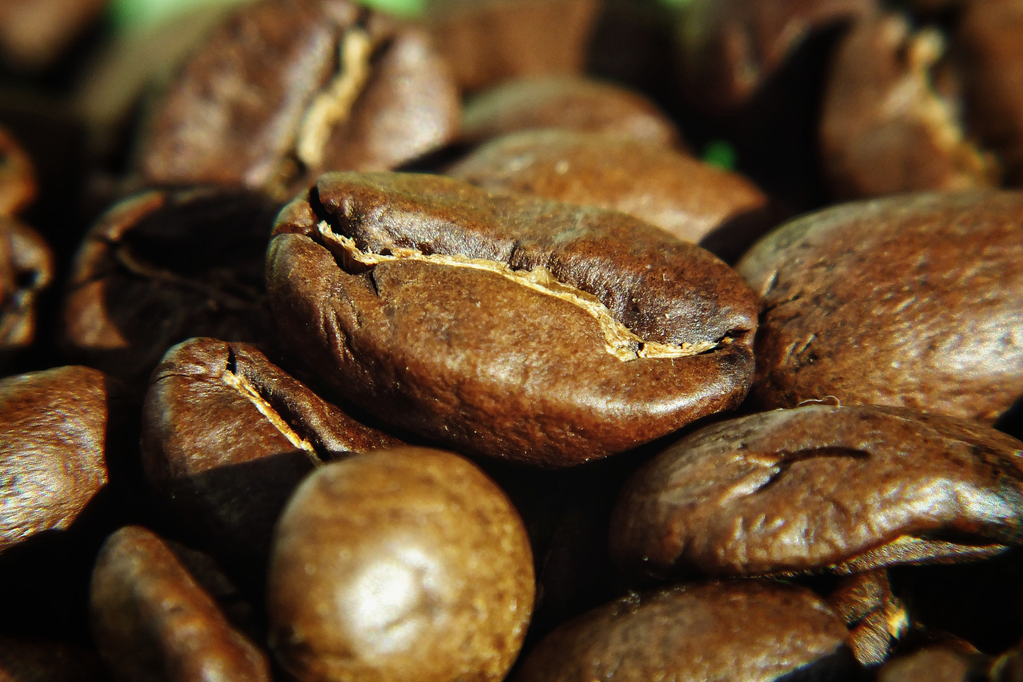 Fujifilm FinePix HS25EXR sample photo. Coffee beans photography