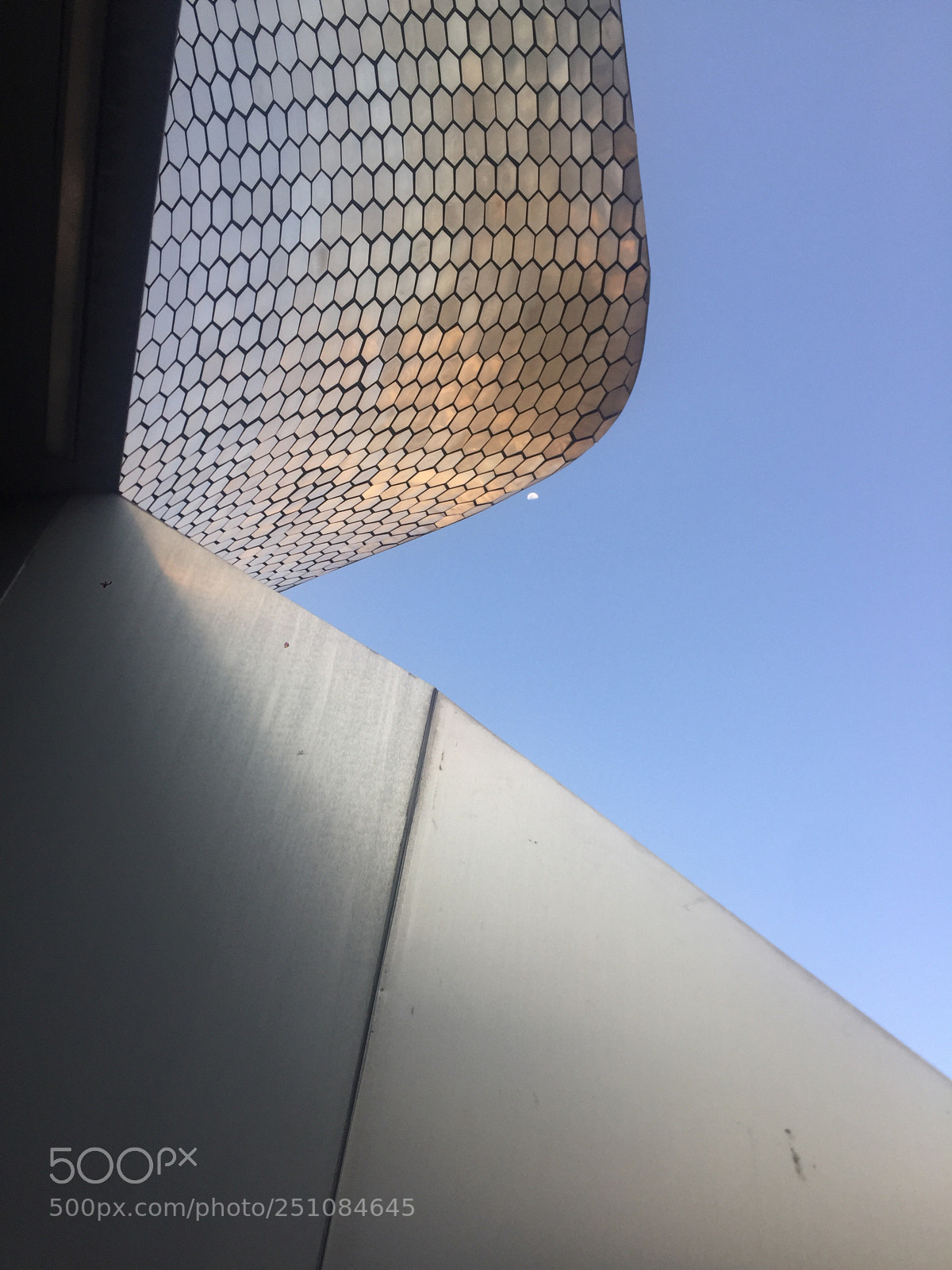 Apple iPhone 6 sample photo. Untitled photography