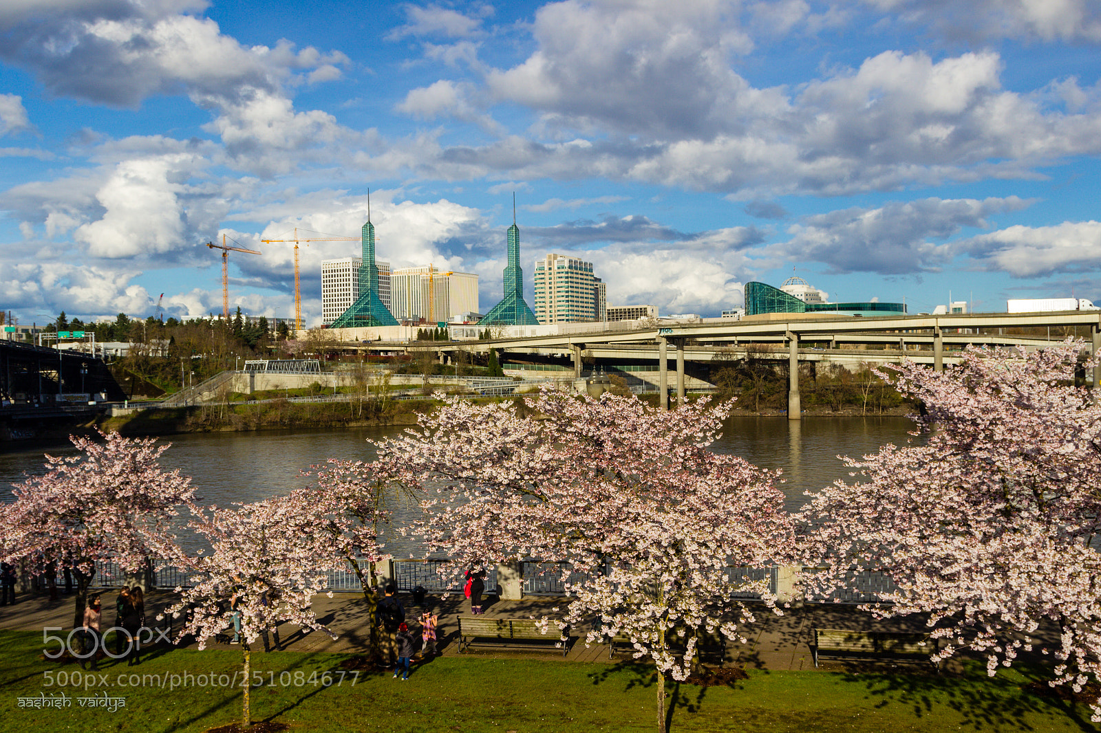 Canon EOS 600D (Rebel EOS T3i / EOS Kiss X5) sample photo. Portland cityscape with cherry photography