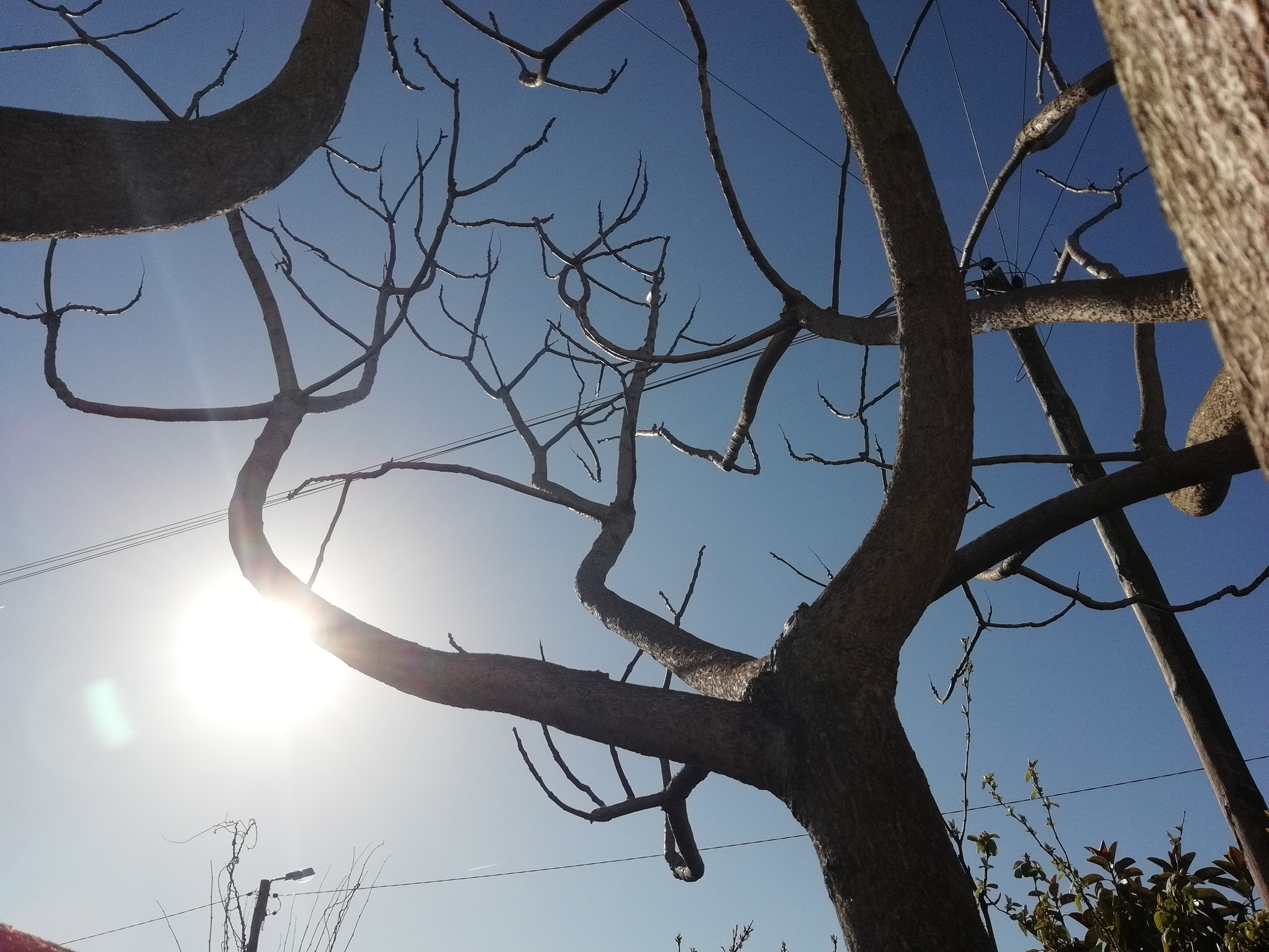 HUAWEI FIG-LX1 sample photo