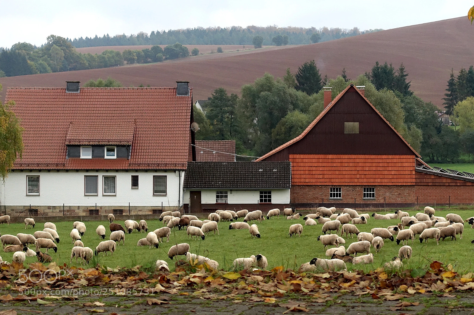 Sony Cyber-shot DSC-RX100 III sample photo. Das rote land, nordhessen photography