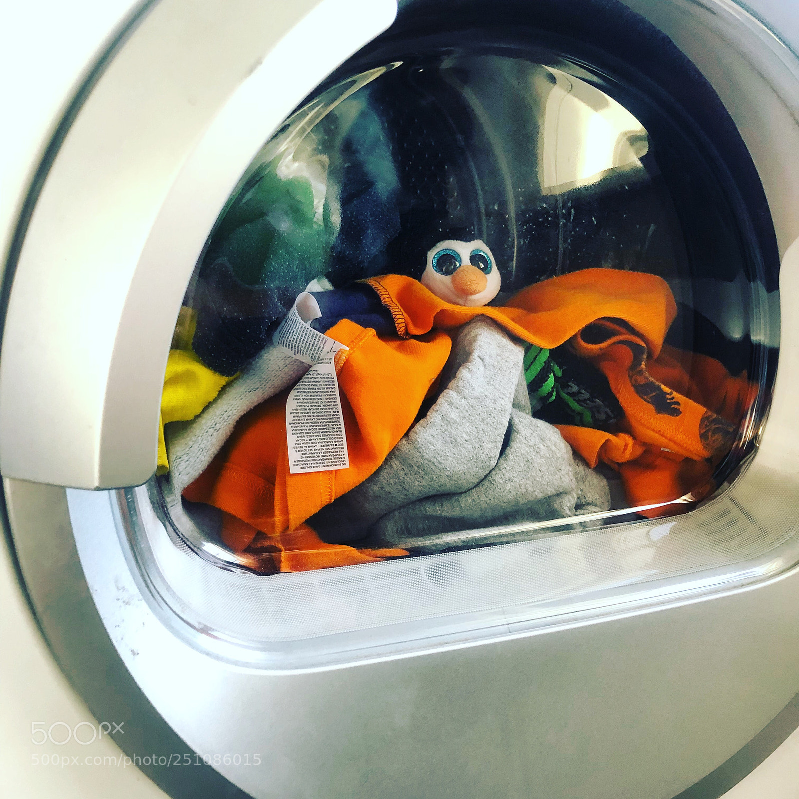 Apple iPhone X sample photo. Dryer surprises! photography