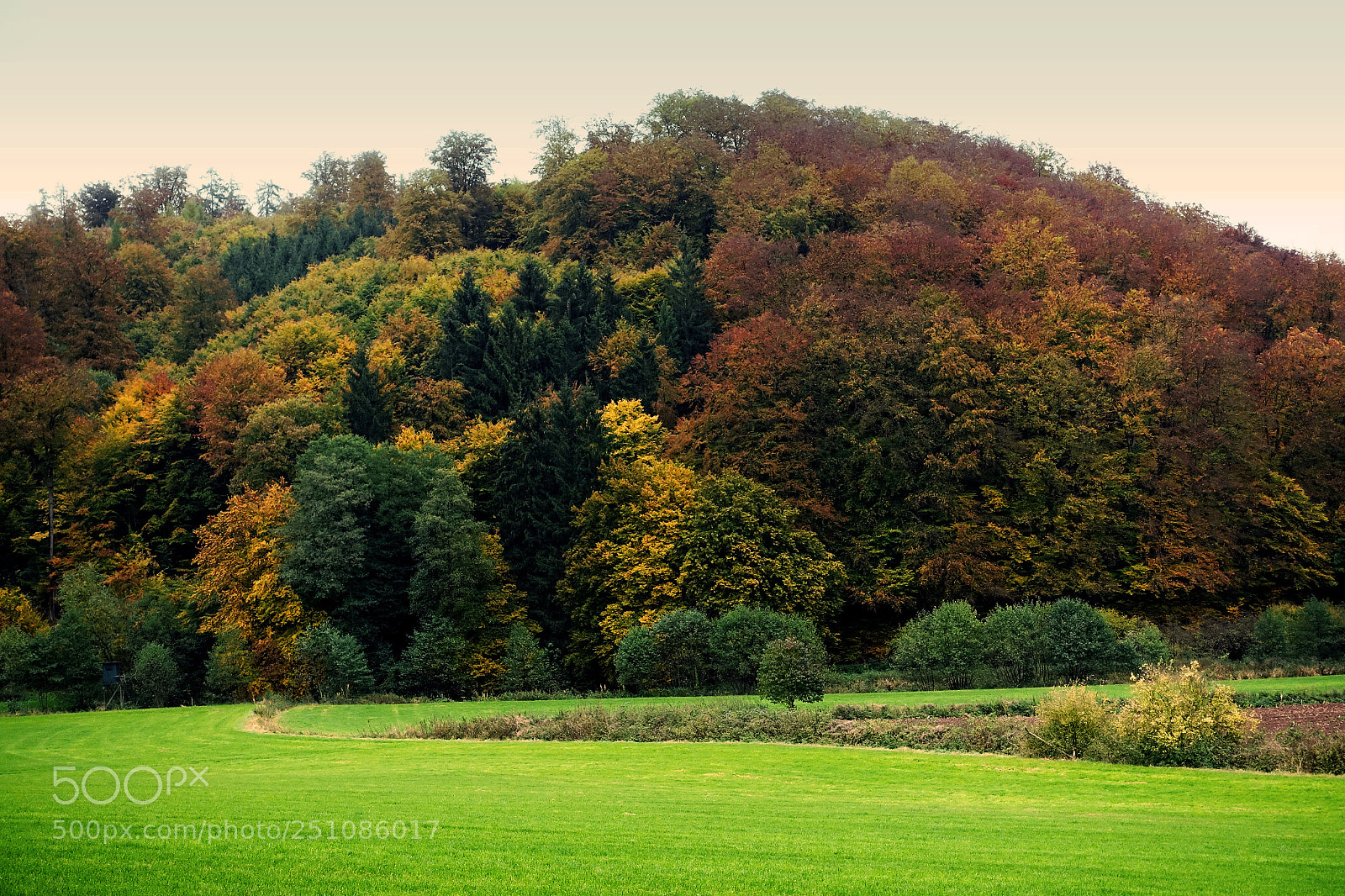 Sony Cyber-shot DSC-RX100 III sample photo. Das rote land, nordhessen photography