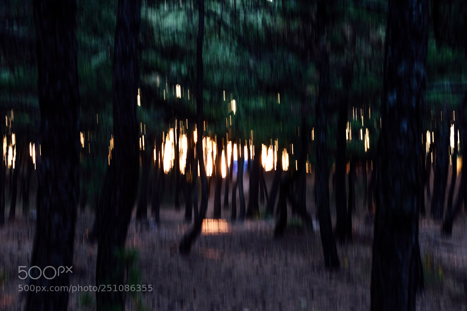 Nikon D810 sample photo. Morning. photography