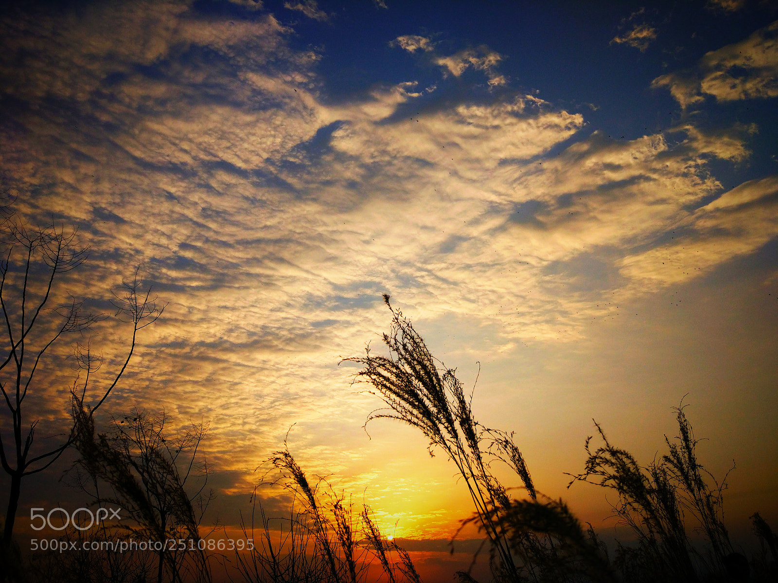 Xiaomi MI 5 sample photo. Untitled photography
