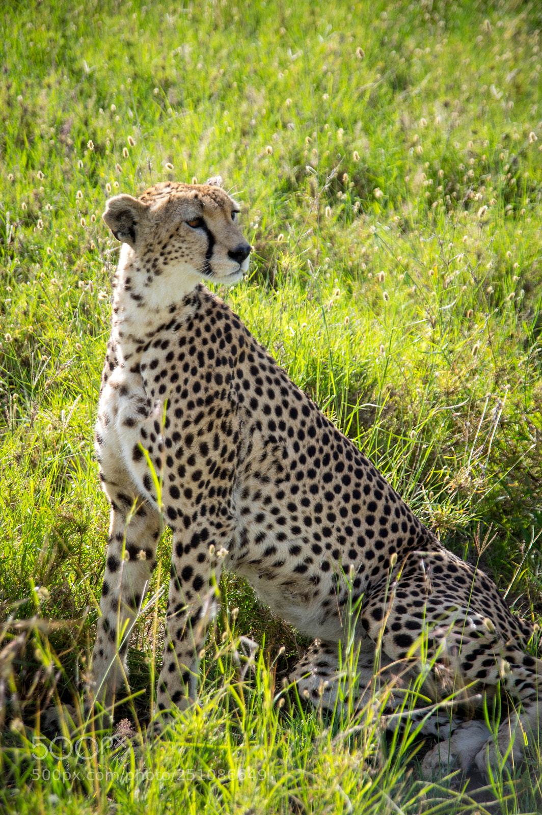 Pentax K-3 sample photo. Imgp photography