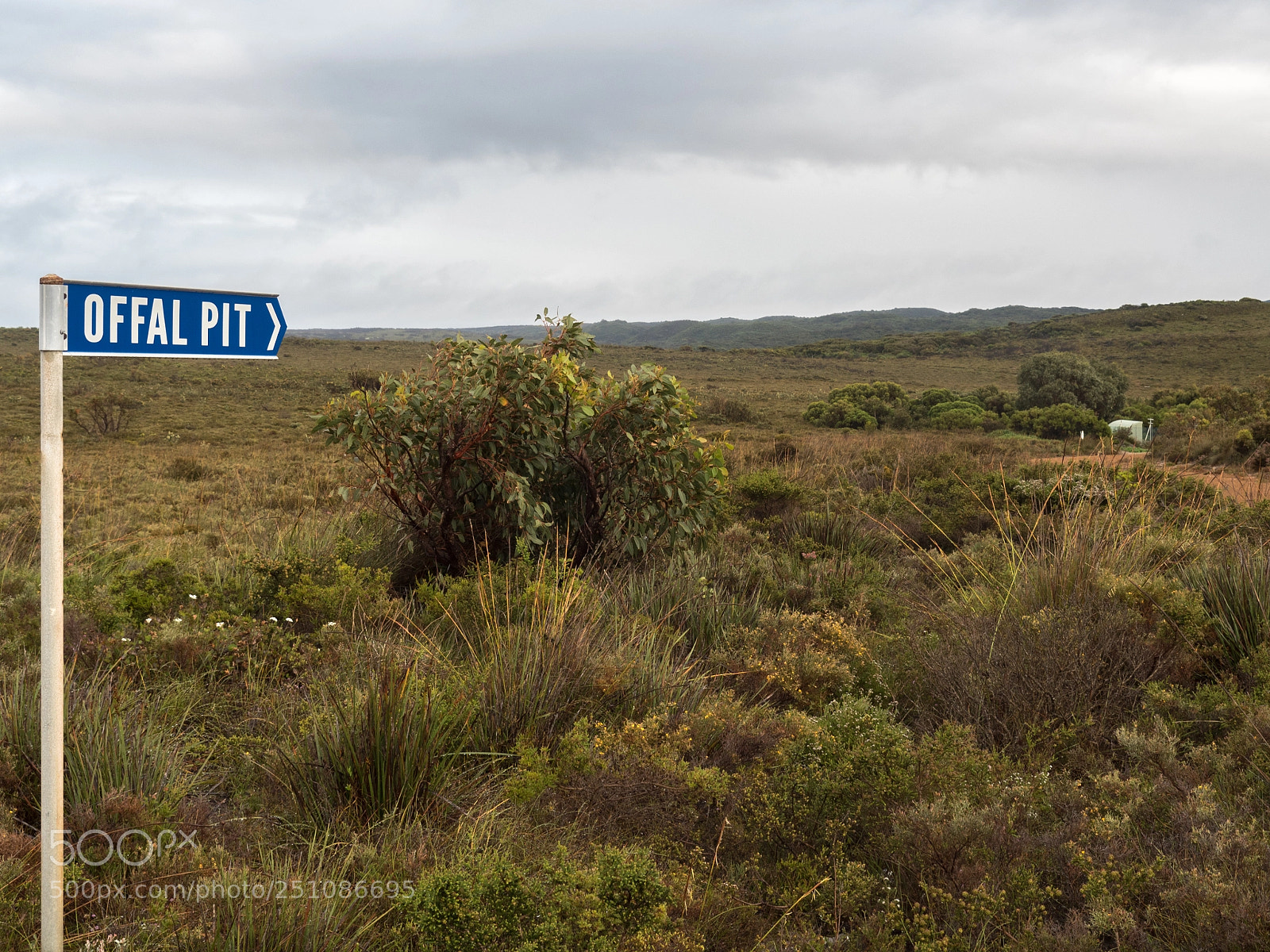 Olympus OM-D E-M5 II sample photo. Cheynes beach offal pit photography