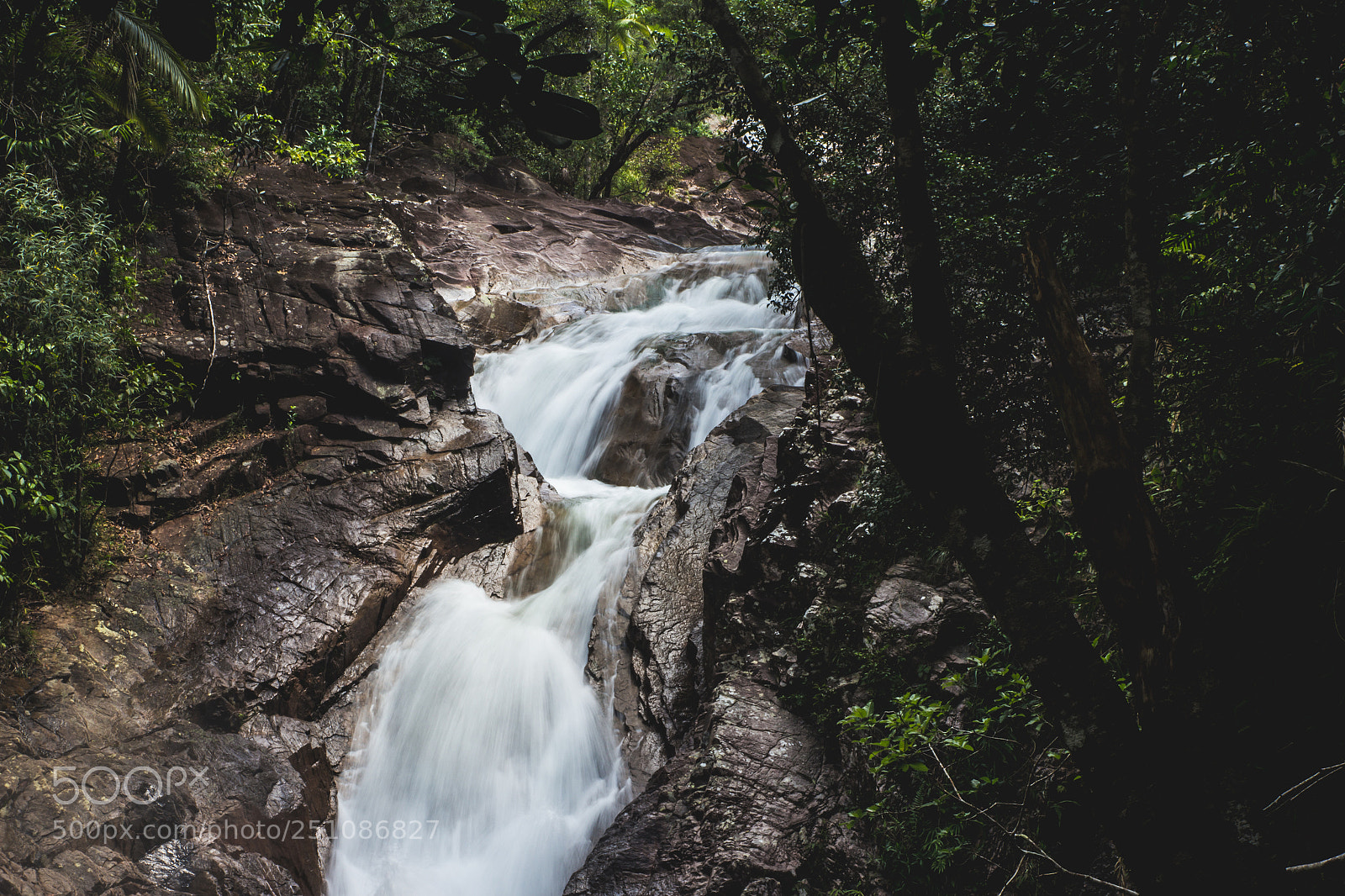 Canon EOS 60D sample photo. Finch hatton photography