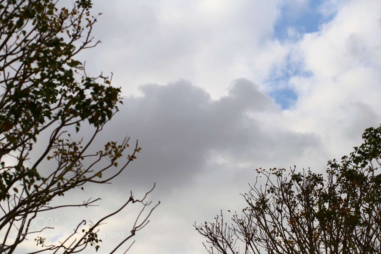 Canon EF 85mm F1.8 USM sample photo. Praying to the sky photography