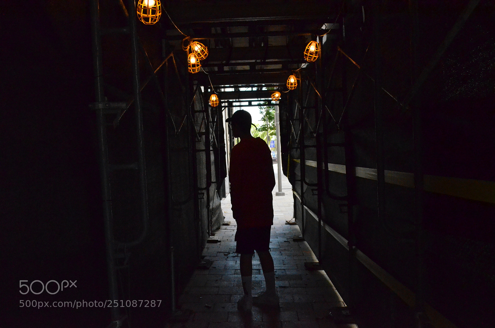 Nikon D5100 sample photo. Abstract photography