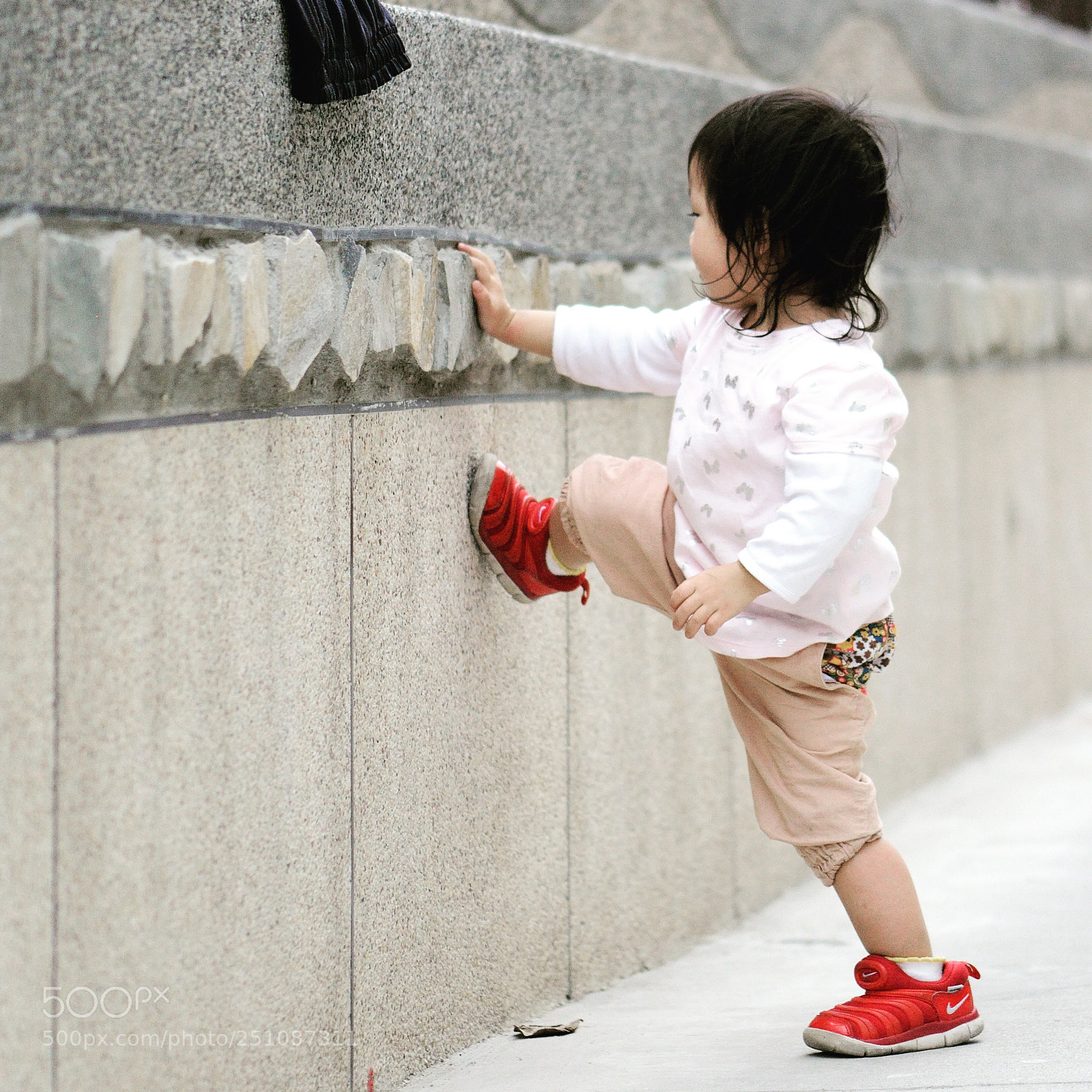 Nikon D800 sample photo. Untitled photography