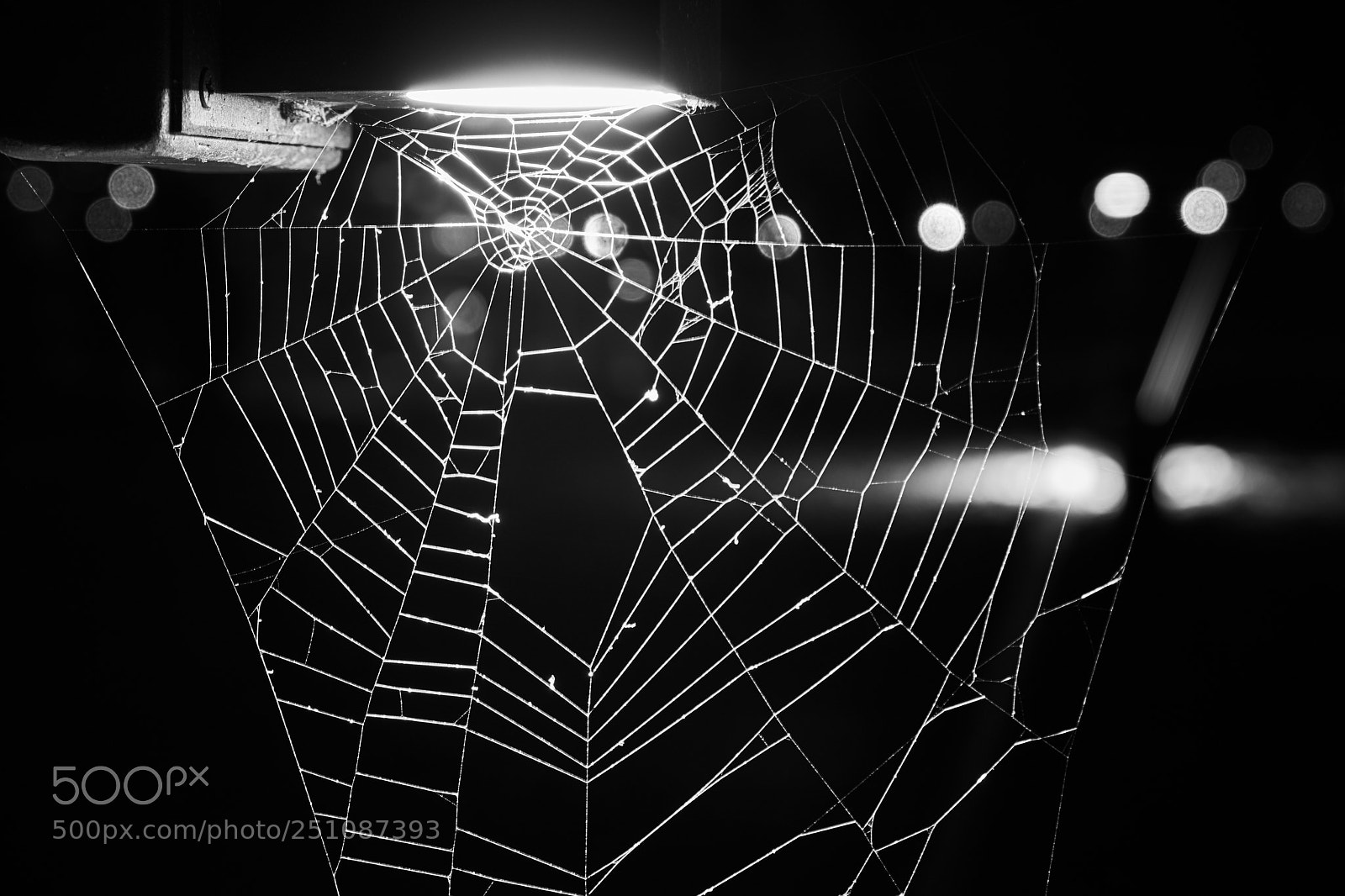 Fujifilm X-T20 sample photo. Silk photography