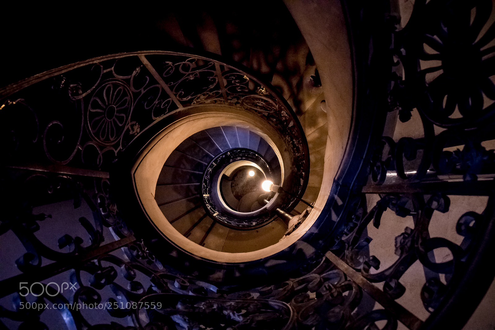 Canon EOS 5D Mark IV sample photo. Spiraling out of control  photography