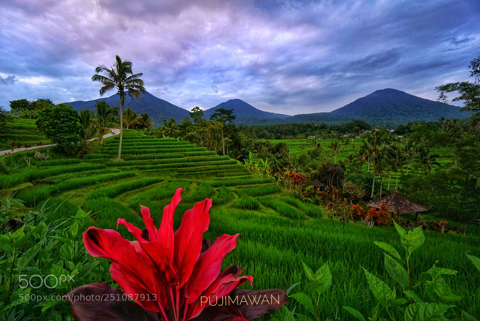 Sony a6000 sample photo. Jatiluwih - bali , indonesia photography