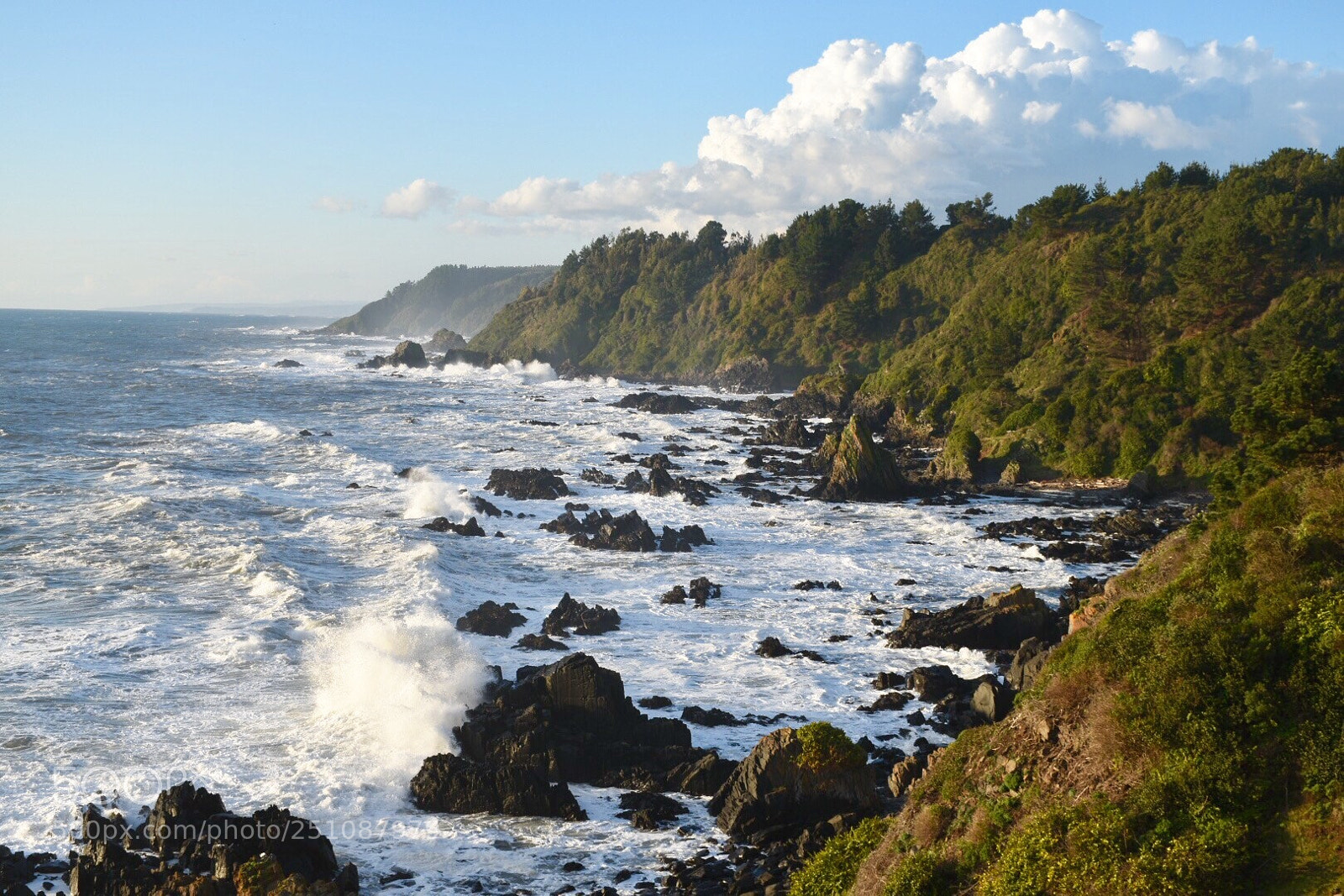 Nikon D5500 sample photo. Camino a purema, tomé. photography