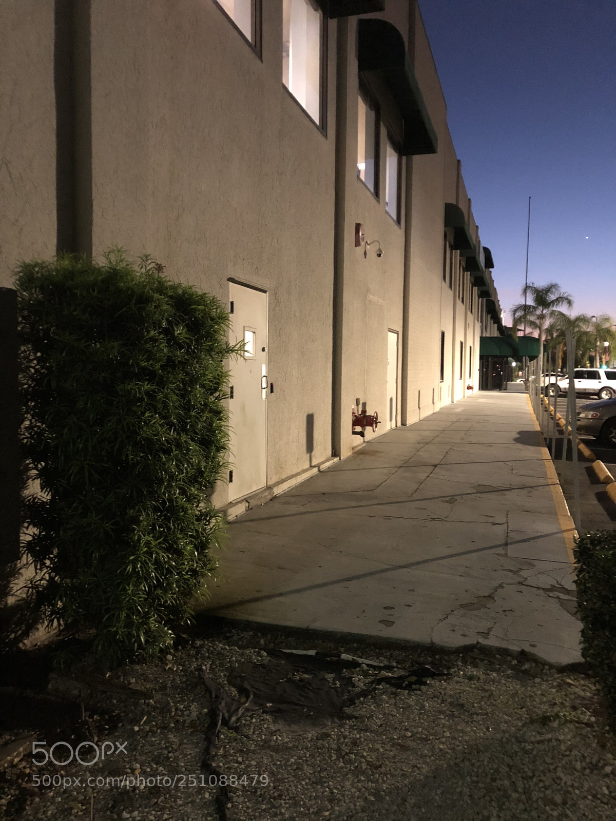 Apple iPhone X sample photo. Deep view  photography