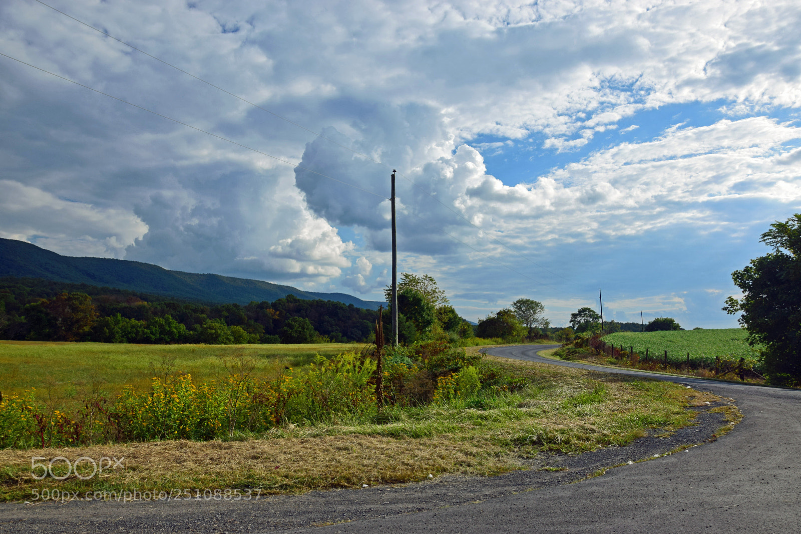 Nikon D5300 sample photo. Farm road photography