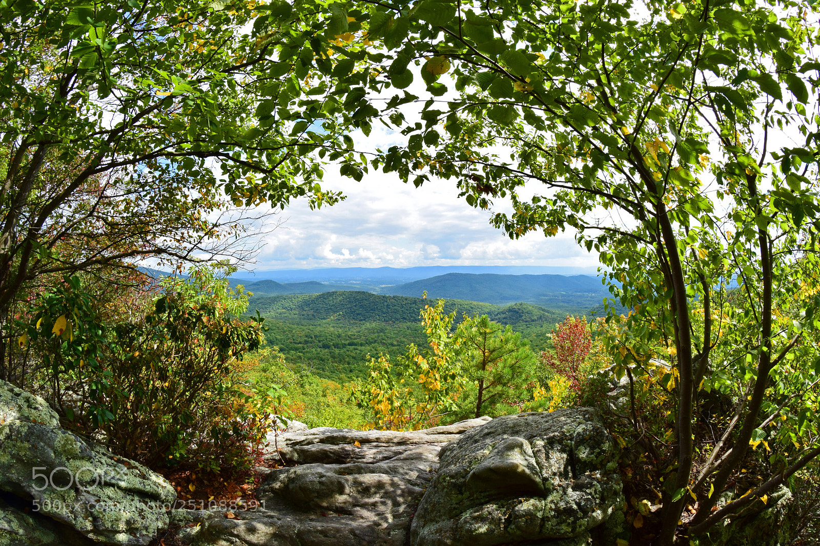 Nikon D5300 sample photo. Tibbett knob fisheye photography