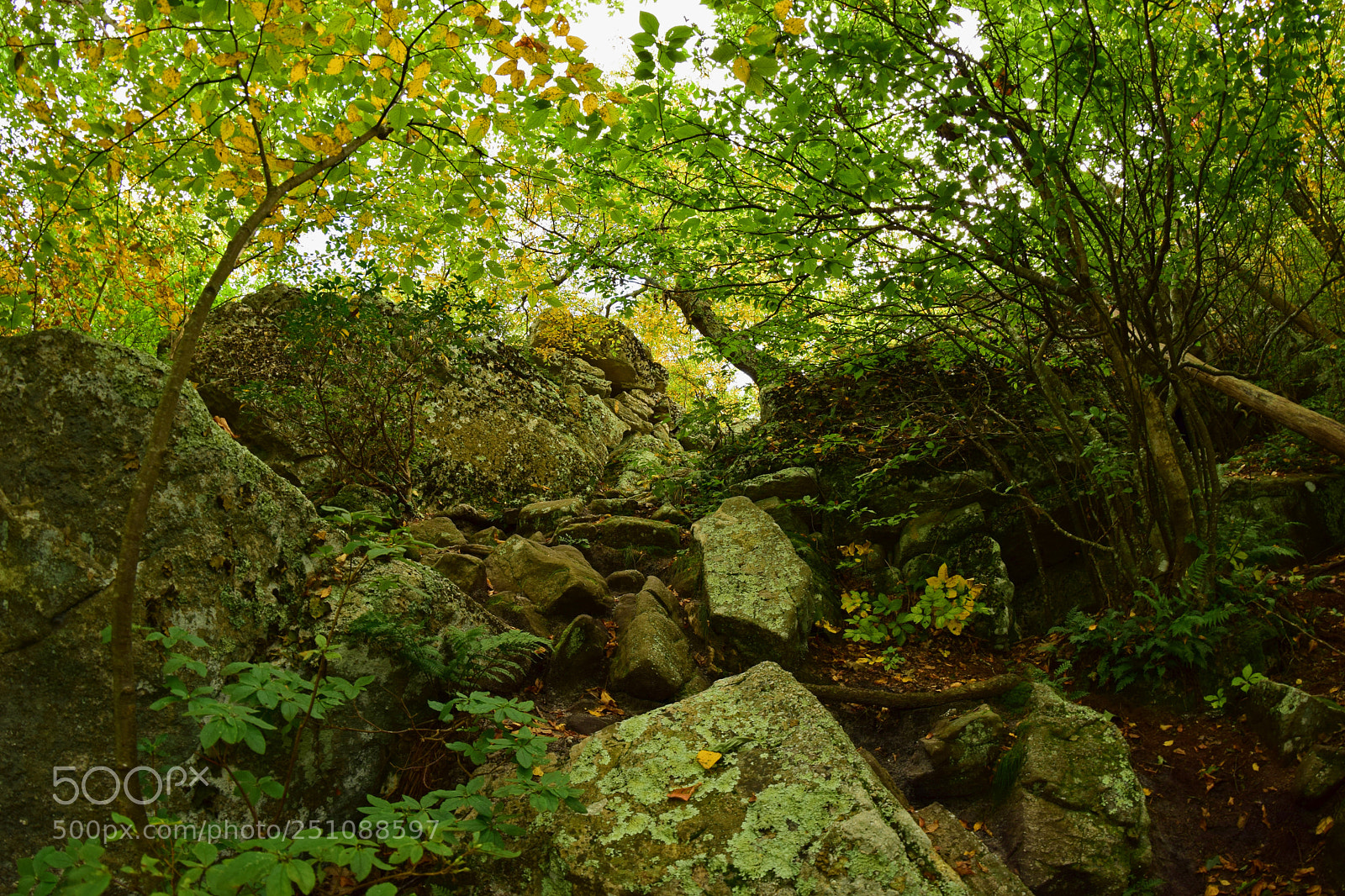 Nikon D5300 sample photo. Rock scramble photography