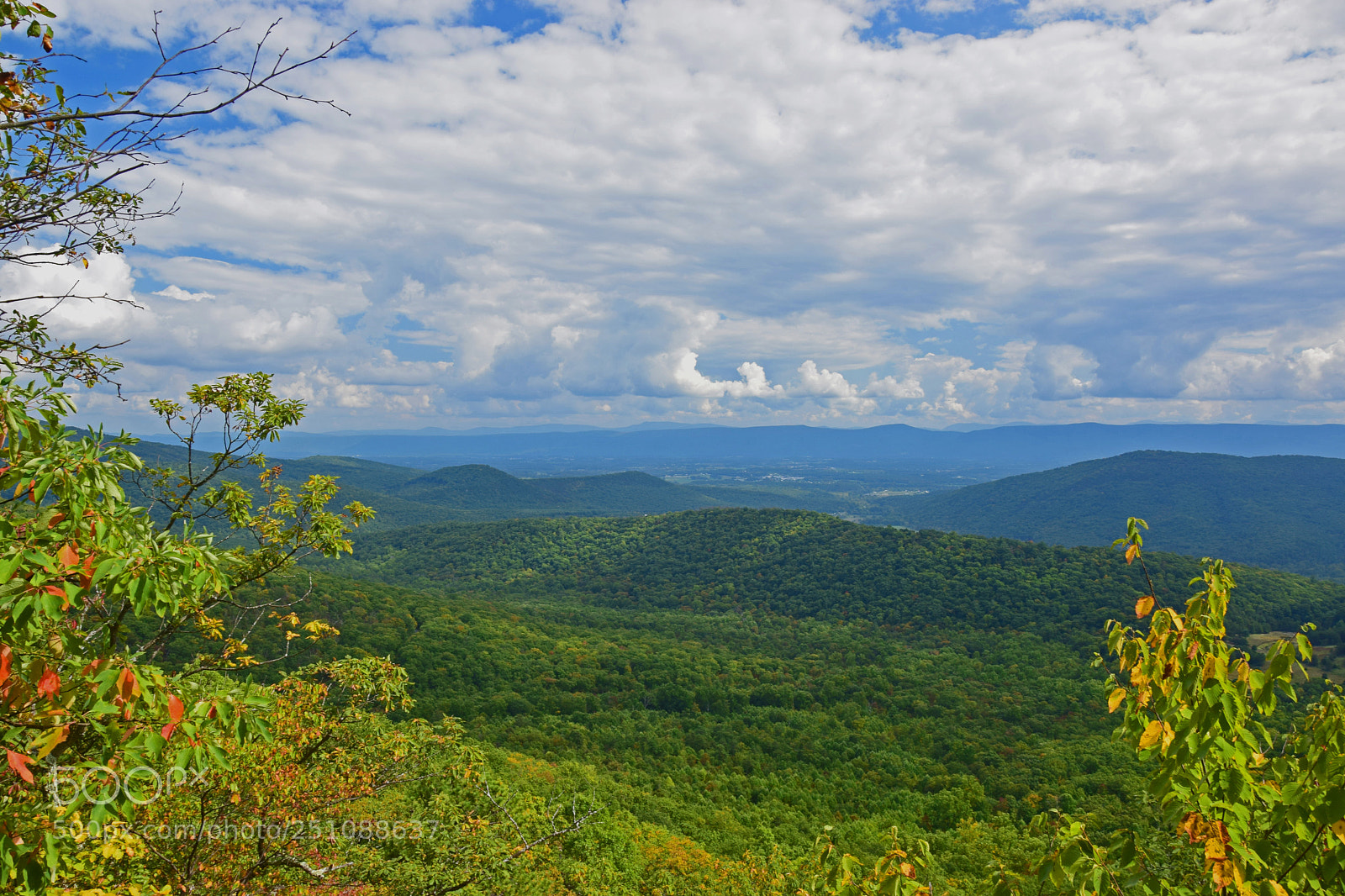 Nikon D5300 sample photo. Tibbet knob photography