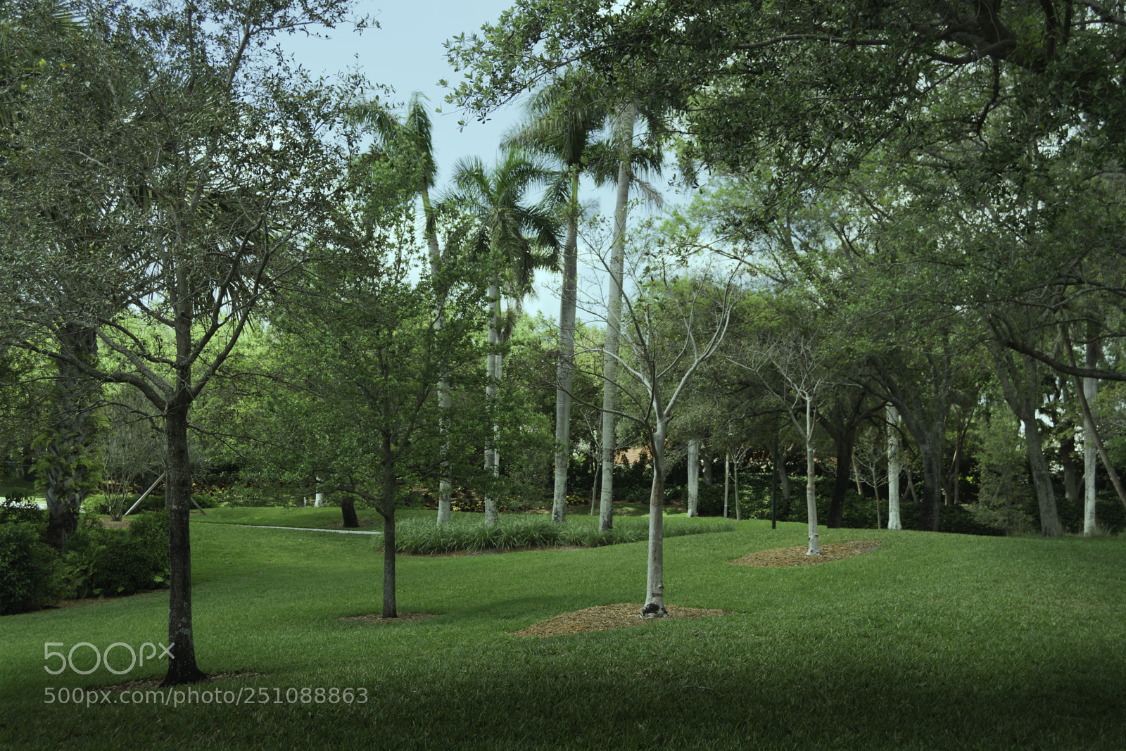 Nikon D7100 sample photo. Peaceful photography
